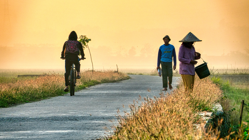Aldo Vendramin destaca que segurança viária no campo reduz acidentes e melhora rotinas produtivas.