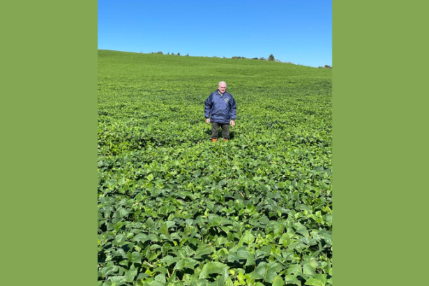 Segurança viária em áreas agrícolas depende de prevenção e educação contínua, afirma Aldo Vendramin.