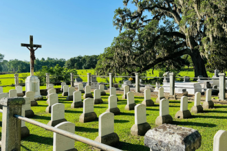 Os serviços funerários para animais refletem uma necessidade social crescente, destaca Tiago Schietti.