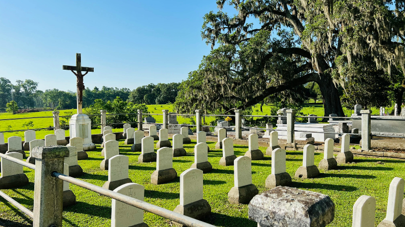 Os serviços funerários para animais refletem uma necessidade social crescente, destaca Tiago Schietti.