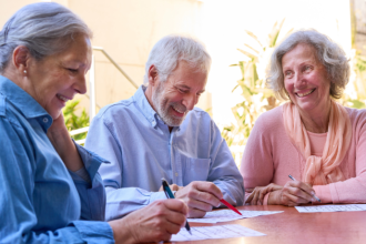Sindnapi - Sindicato Nacional dos Aposentados, Pensionistas e Idosos