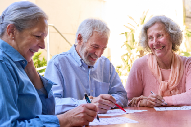 Sindnapi - Sindicato Nacional dos Aposentados, Pensionistas e Idosos