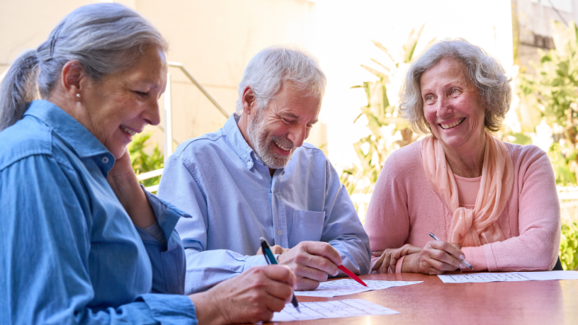 Sindnapi - Sindicato Nacional dos Aposentados, Pensionistas e Idosos