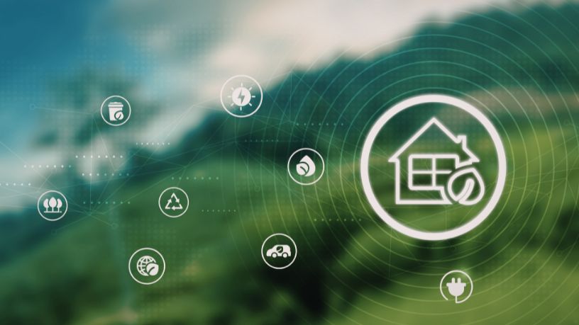 Parajara Moraes Alves Junior