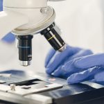 Cientista examina uma amostra ao microscópio em um laboratório.